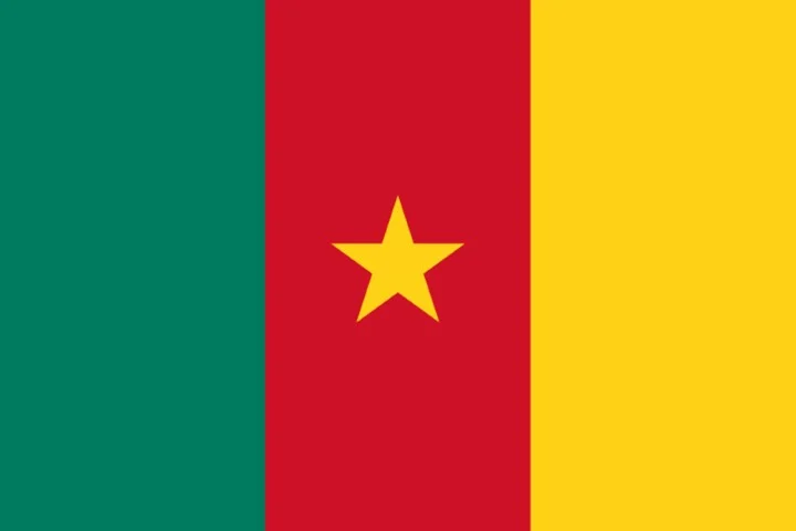 flag_of_cameroon